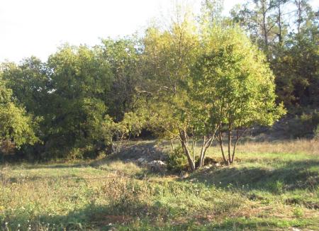 Le sens du mot propri�t�