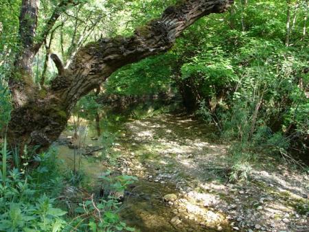 Un village plein de charme