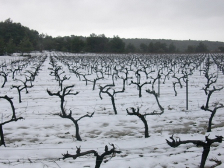 Il neige sur le centre Var